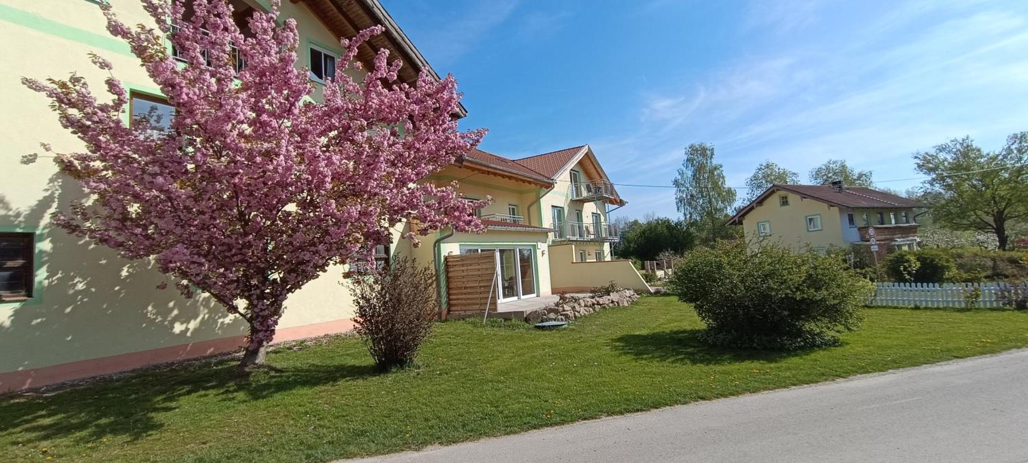 Pension Am Weberhof Nur 20 Autominuten Von Muenchen Ebersberg Esterno foto